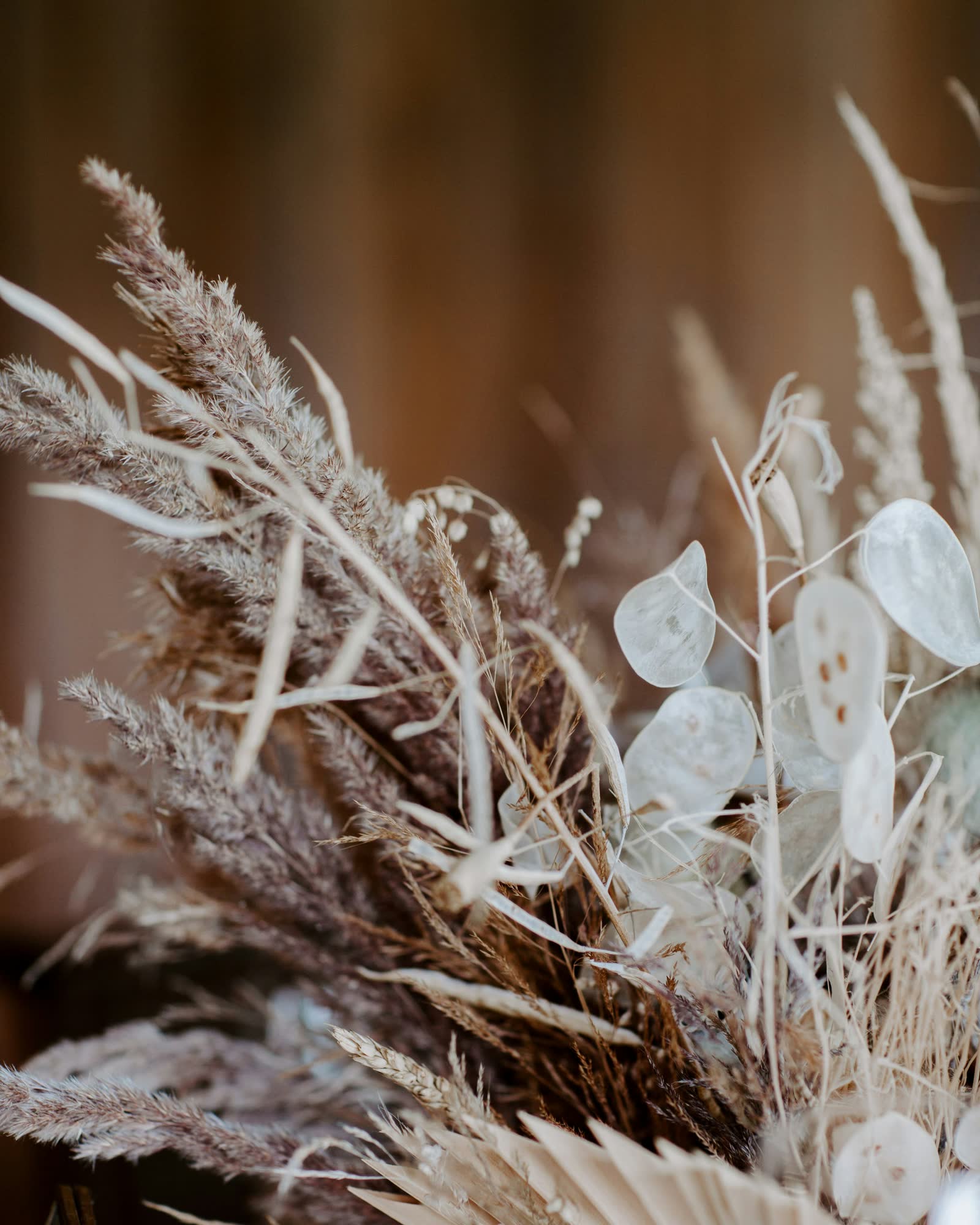 Dried grasses and flowers in warm light